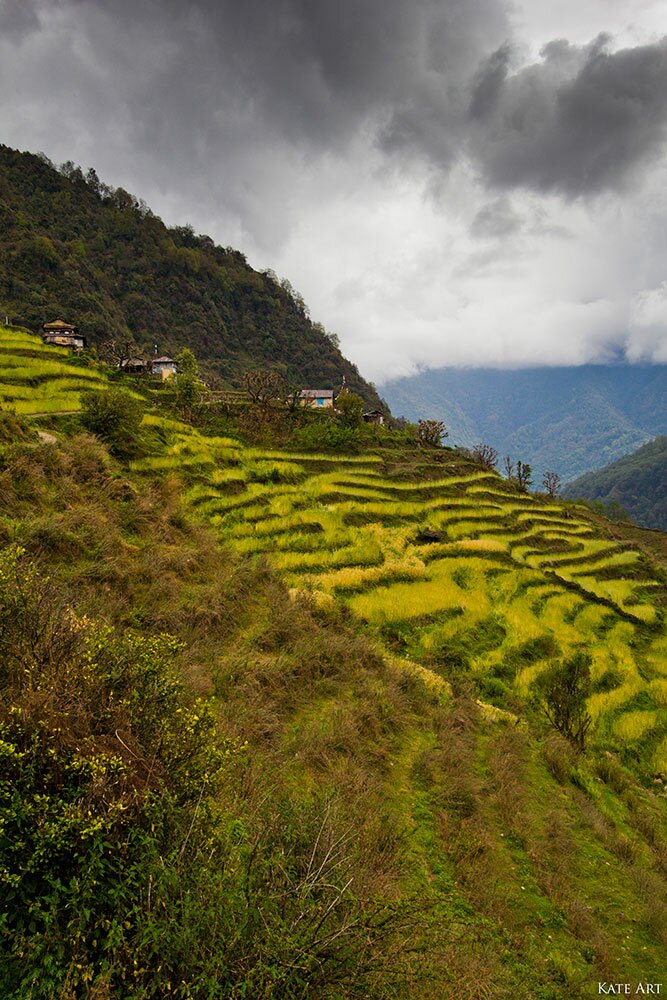 трекінг до базового табору Аннапурни, Непал, Пун Хіл